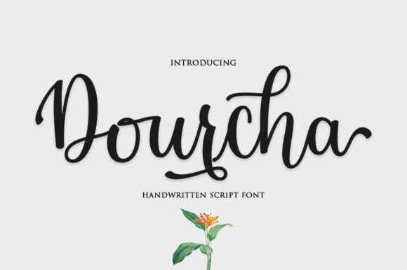 Dourcha: A Stylish Script Font for Creative Campaigns