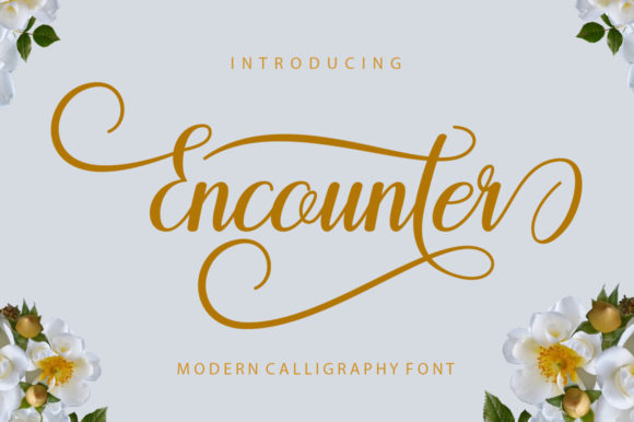 Encounter Font Review