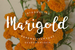 Marigold: A Font That Elevates Your Brand