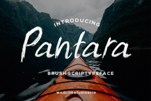 Pantara: A Bold Script for Digital Campaigns