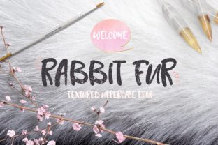 Rabbit Fur Font Review