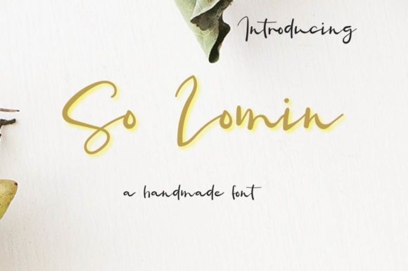So Lomin: A Handwritten Font for Editorial Magic